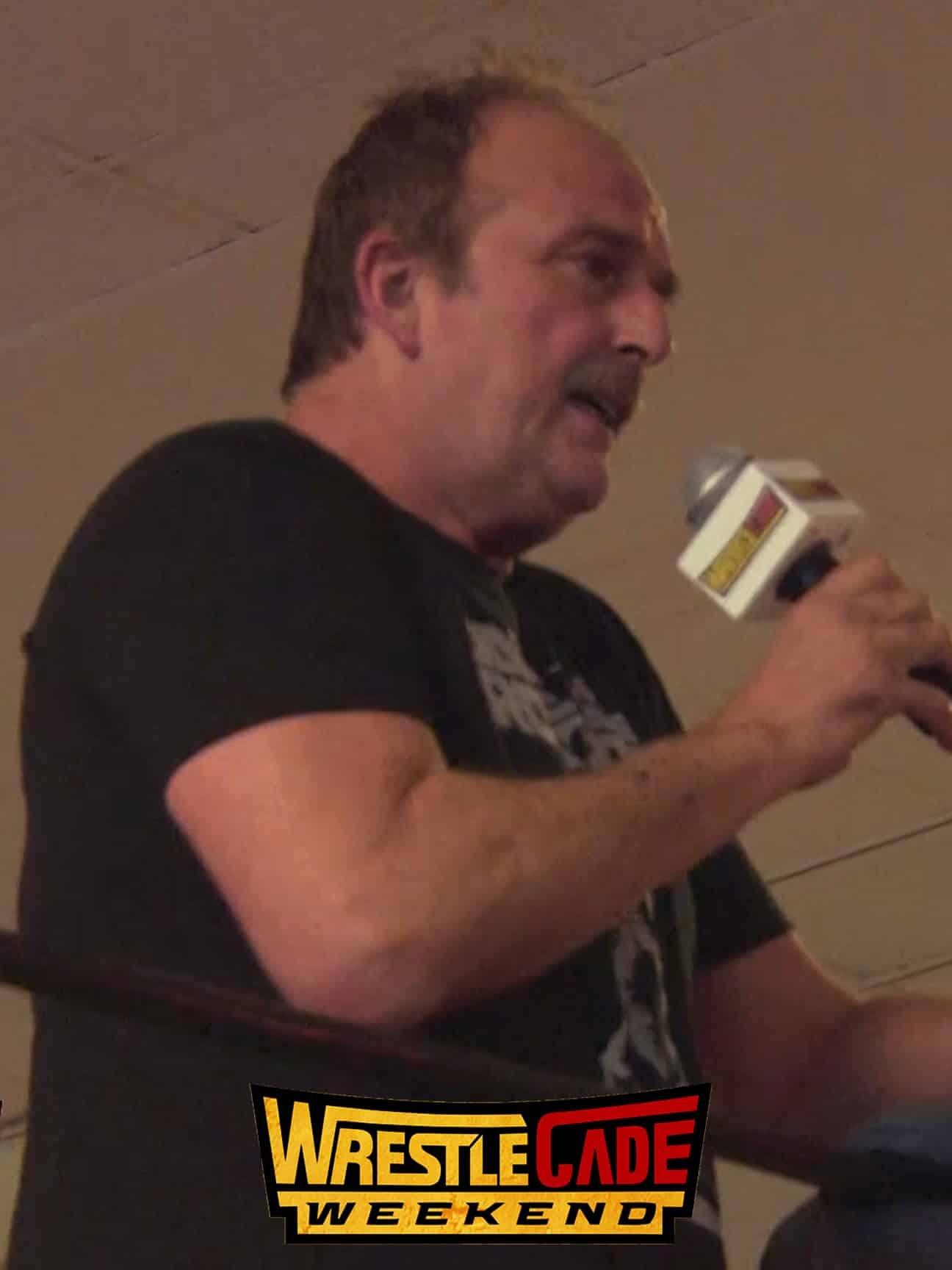 WrestleCade 2013 Fanfest Matches 11/30/13